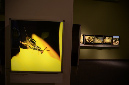 Wasp_exhibition__DSC3482